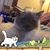 Sandie Banks's profile image