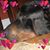 Safi Mohammed's profile image