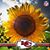 Jerri Kay Gean's profile image
