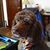 Brenda Whitmore Haskins's profile image