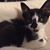 Kimberly Prince Shields's profile image