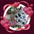 Robin Huhn Brake's profile image