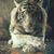 Heather Cooper-Beebe's profile image
