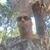 Richard Butler's profile image