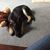 Marsha Larson's profile image