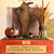 Santa Ynez Valley Scarecrow Fest's profile image