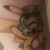 Sarah Ferreira's profile image