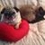 Joey F Del Fierro's profile image