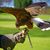 Jason Hess's profile image