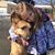 Kristen Hassen Duffy's profile image