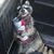 Bernardo Jr Moreno's profile image