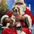 Robin D. Bauer's profile image