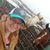 Annemarie Plaizier's profile image