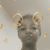 Roxie Kennedy's profile image