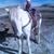 Toby McCracken's profile image