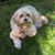 Janet Pallotti's profile image