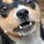 Michael Marcum's profile image