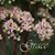 Kathleen Lloyd-Geraci Bekemeyer's profile image