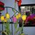 Deborah Flynn's profile image