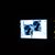 Wolf Blood's profile image