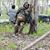 Corey Wert's profile image