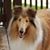 Tracy Wonderly's profile image