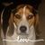 Gretchen Karr Kenney's profile image