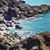 Sue Worl Webster's profile image