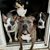 Yvette Erickson Gleason's profile image