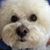 Julie Branscomb-Eastman's profile image