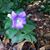 Michele Ewing's profile image