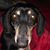 Patti Rivera's profile image