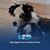 Lynda Bloomberg's profile image