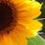 Erin Reintjes Baker's profile image