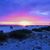 Brenda Young Sikorski's profile image