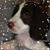 Jen Quam Larson's profile image
