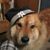 Larry Gettis's profile image