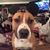 Michelle Nupp Wingard's profile image