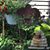 Trisha Alleman's profile image