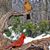 Linda Lillibridge's profile image