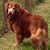 Doreen Lasch's profile image
