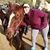 Tina Marie Martinez's profile image