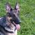 Jennifer Kreissler's profile image