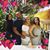 Zulmarie Sierra Merced's profile image