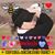 Sheila Kaplan Bradford's profile image