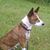 Mike Albright's profile image
