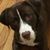 Kellie Provost-Brown's profile image
