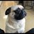 Blanca Reyes's profile image