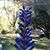 Donna Firebaugh's profile image