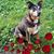 Jeanene Gerlach's profile image